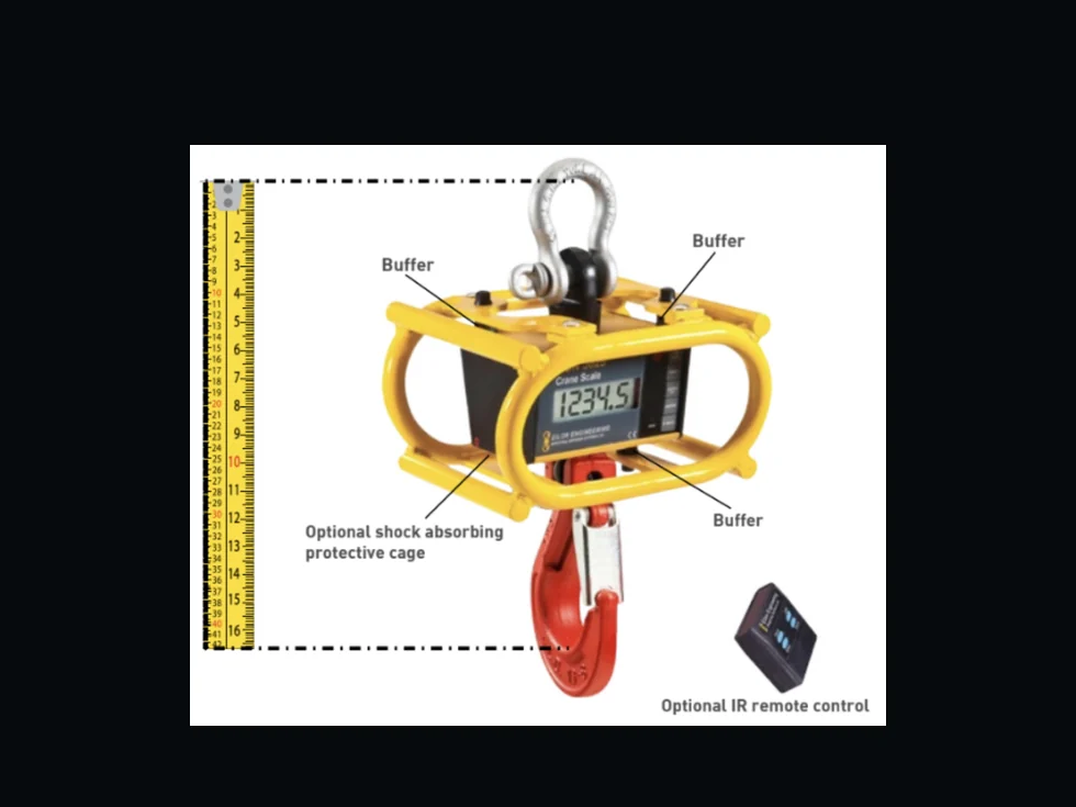 RON3025 Kranwaage mit integriertem Display